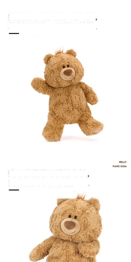 Jimi Bear Plush Toy