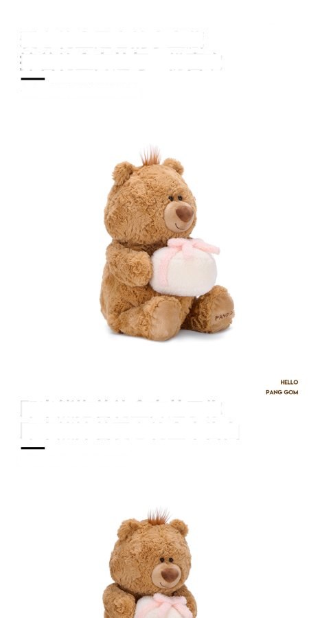 Jimi Bear with Gift Plush Toy