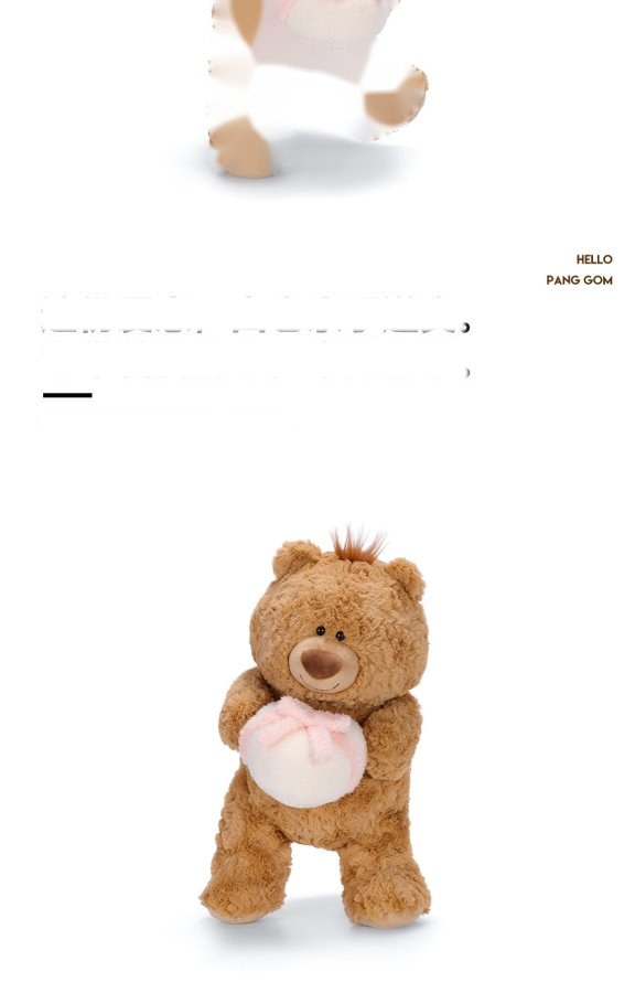 Jimi Bear with Gift Plush Toy