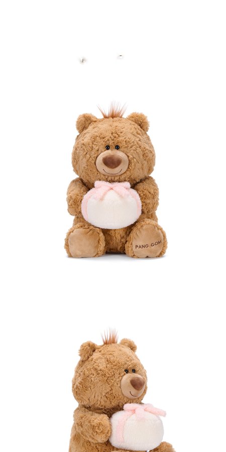 Jimi Bear with Gift Plush Toy
