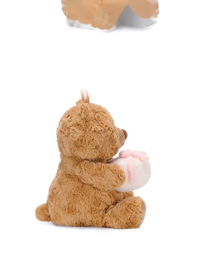 Jimi Bear with Gift Plush Toy