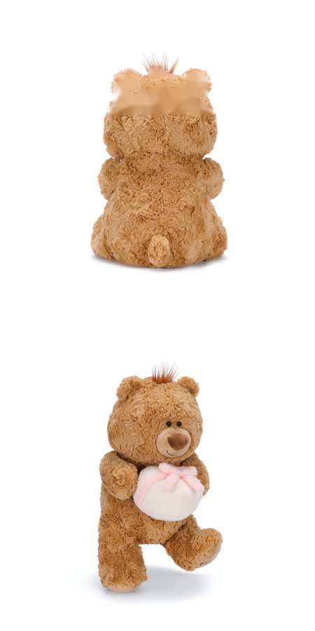 Jimi Bear with Gift Plush Toy