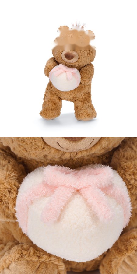 Jimi Bear with Gift Plush Toy